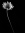 Black-wallpaper